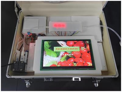 Development of electronic nose for detection of micro-mechanical damages in strawberries